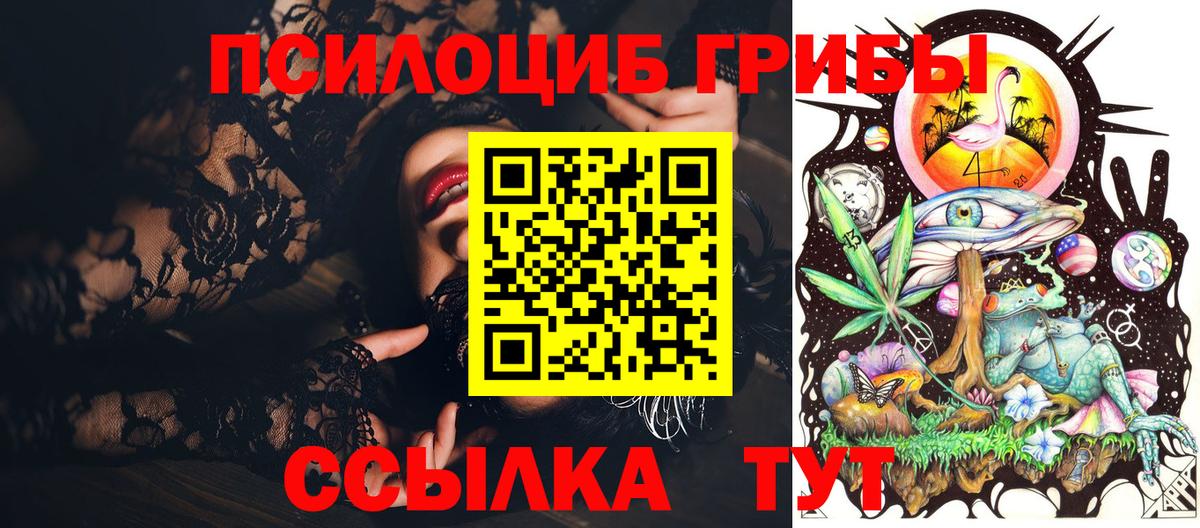 Галлюциногенные грибы Psilocybe  Вход с VPN  Малоярославец  Галлюциногенные грибы прущие грибы 